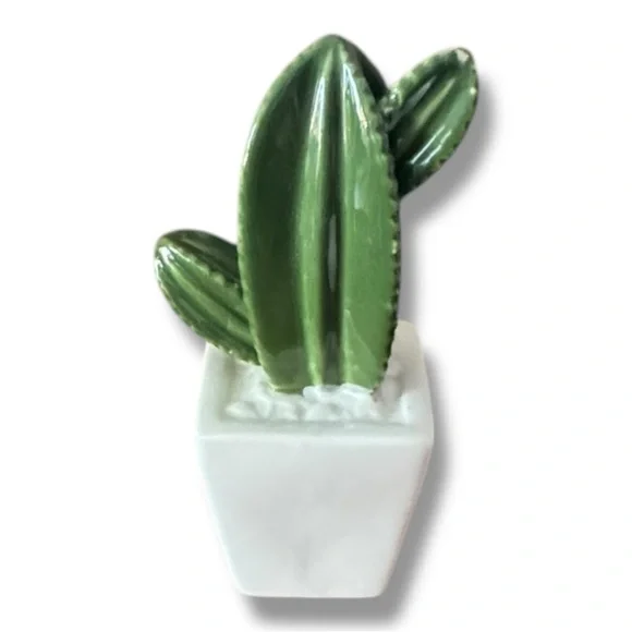 Cactus decor - Picture 1 of 3